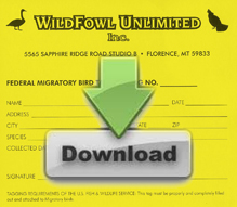 Wildfowl Bird Tag Download